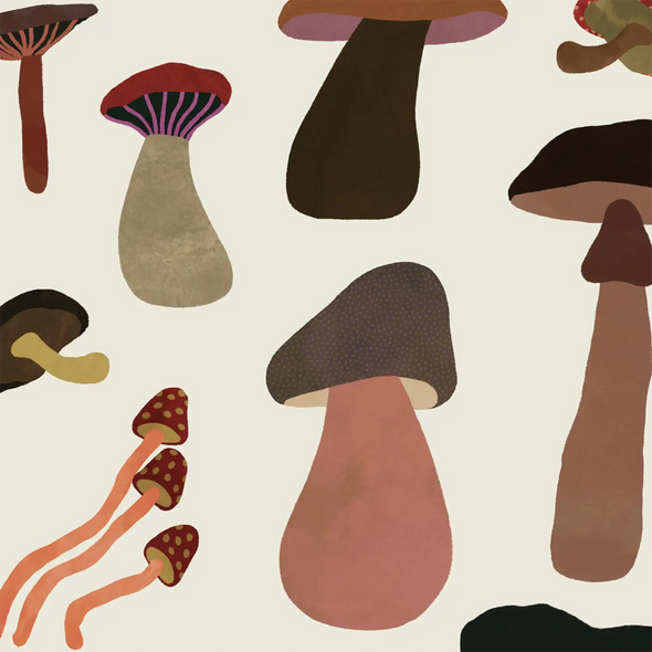 Details of illustrated mushrooms in muted colors.
