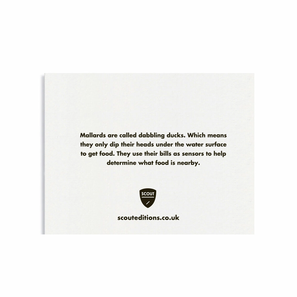 Mallard Mini Card by Scout Editions