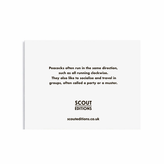 Peacock Mini Card by Scout Editions