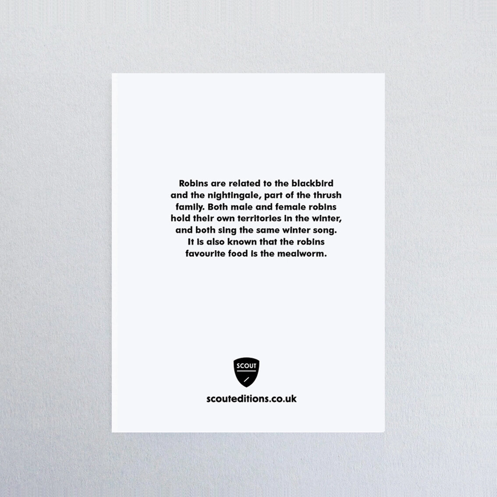 Robin Mini Card by Scout Editions