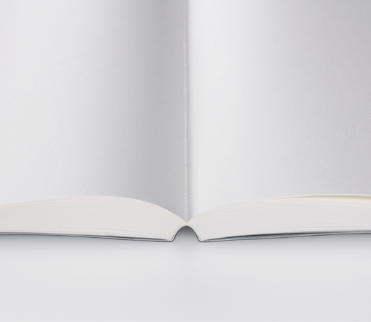 365 Days Plain Notebook A5 by Stalogy