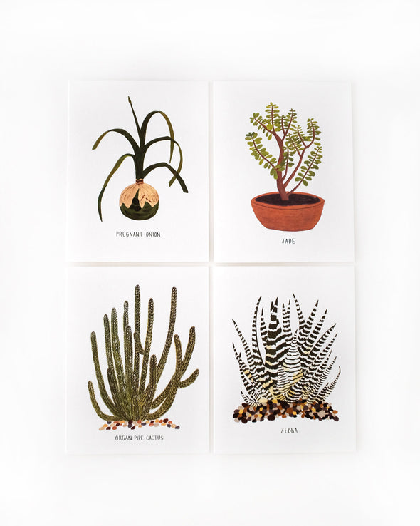 Succulents Card Set by Small Adventure