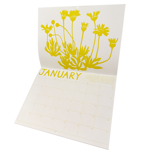 2026 Write-on High Desert Plants Calendar by Banquet Workshop