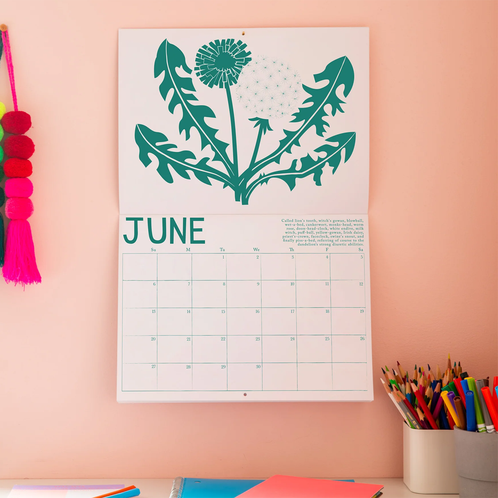 2027 Write-on Medicinal Plants Calendar by Banquet Workshop