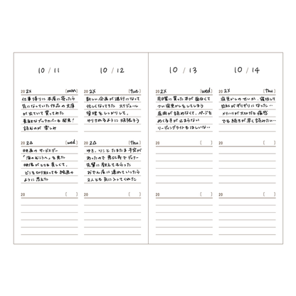 3-Year Diary Easy Journal by DAIGO