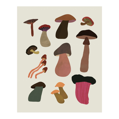Collection of illustrated mushrooms in muted colors.