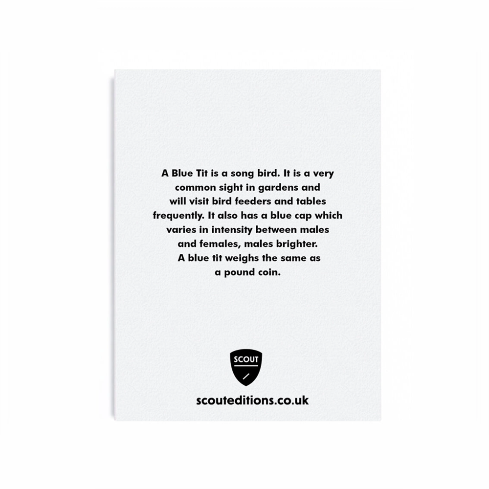 Blue Tit Mini Card by Scout Editions