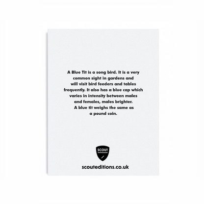 Blue Tit Mini Card by Scout Editions