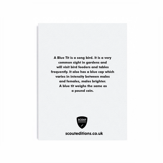 Blue Tit Mini Card by Scout Editions