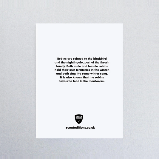 Robin Mini Card by Scout Editions