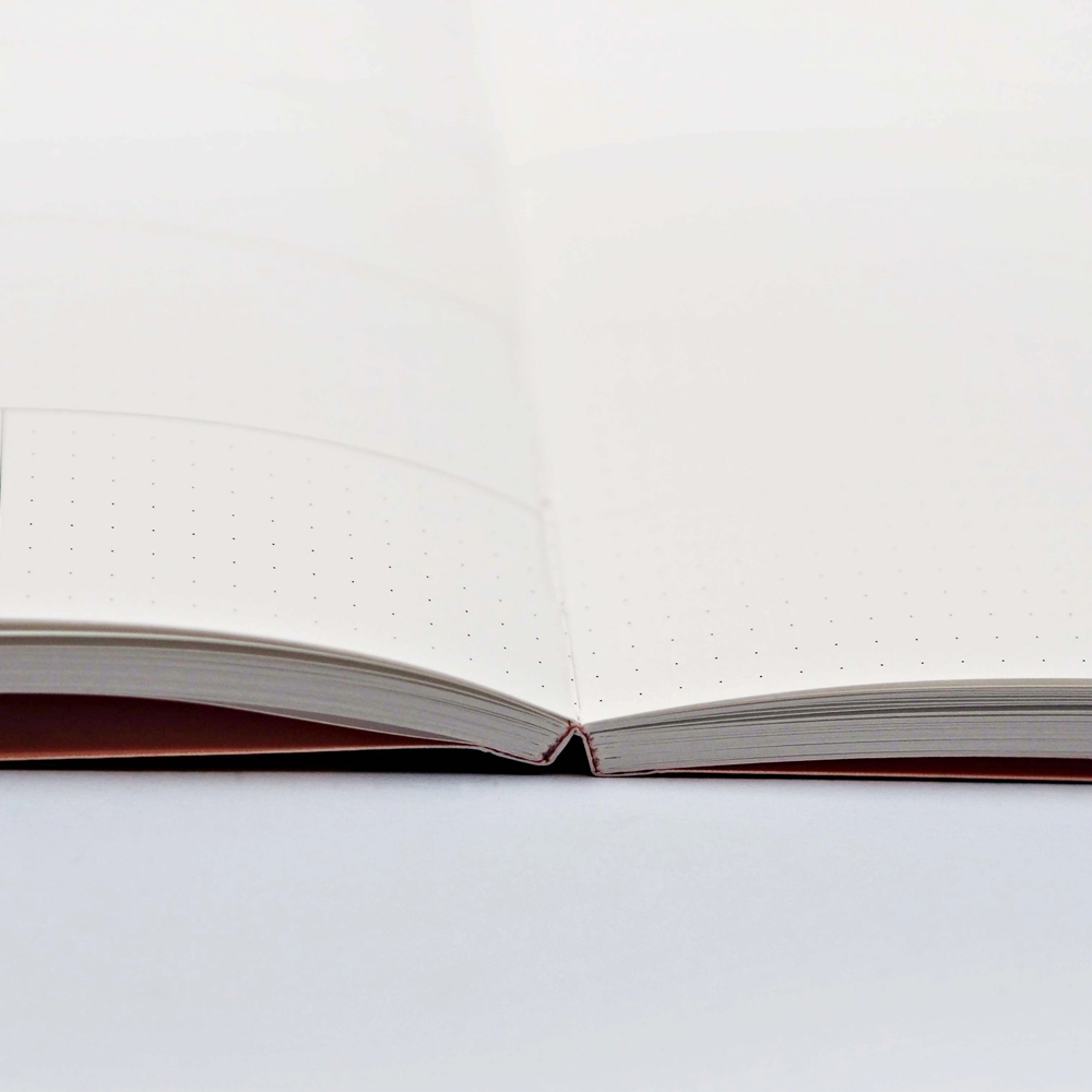 2026 Palau No. 1 Weekly & Monthly Planner by The Completist