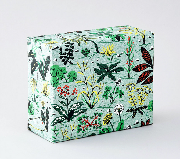 Cari Vander Yacht Weeds Wrapping Paper by Wrap