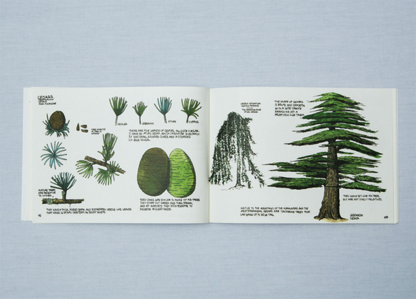 Raising a Forest by Thibaud Herem