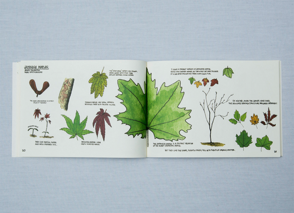 Raising a Forest by Thibaud Herem