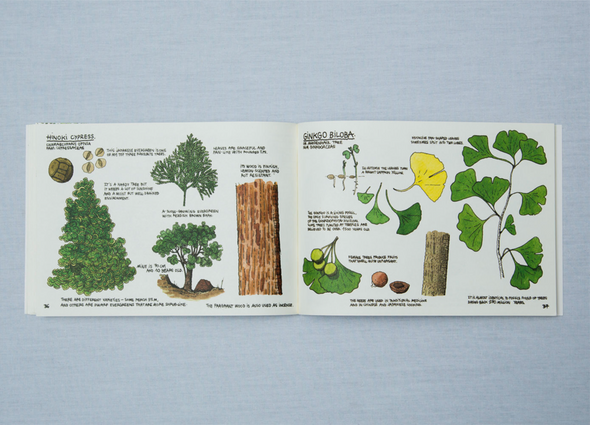 Raising a Forest by Thibaud Herem