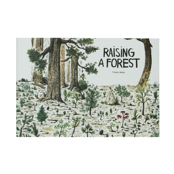Raising a Forest by Thibaud Herem