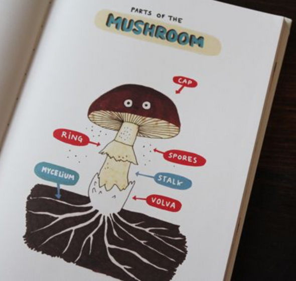 The Mushroom Fan Club by Elise Gravel