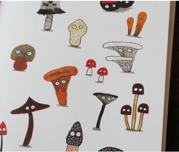 The Mushroom Fan Club by Elise Gravel