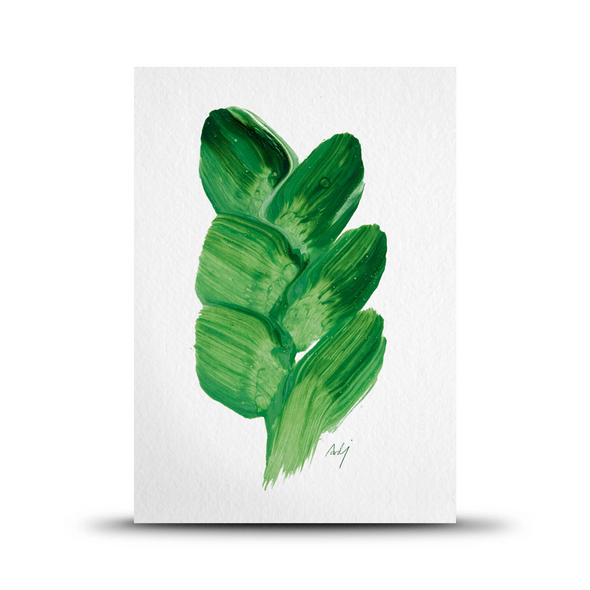 Botanica Paper Pack by Studio Arhoj