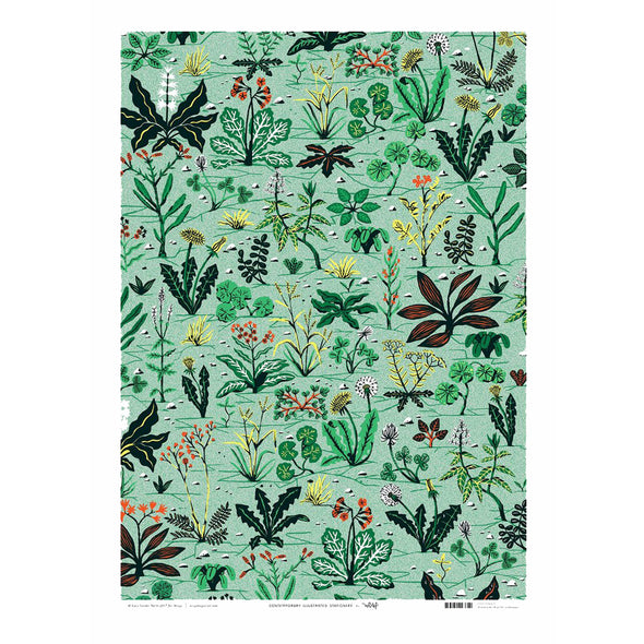 Cari Vander Yacht Weeds Wrapping Paper by Wrap