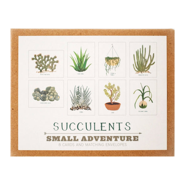 Succulents Card Set by Small Adventure